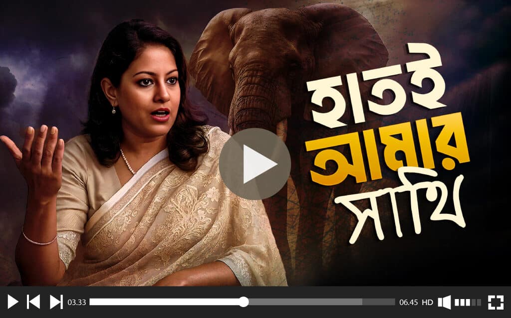 ১২টি হাতির মৃত্যুর পর সৈয়দা রিজওয়ানা হাসানের আজব যুক্তি! Syeda Rizwana Hasan's bizarre logic after the deaths of 12 elephants!